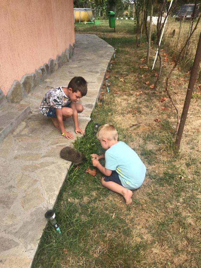 Стаи За Гости Тони 里巴里卡 外观 照片